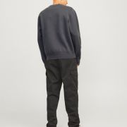 Jack & Jones – Knit – 12261852